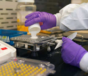 Why Compounding?