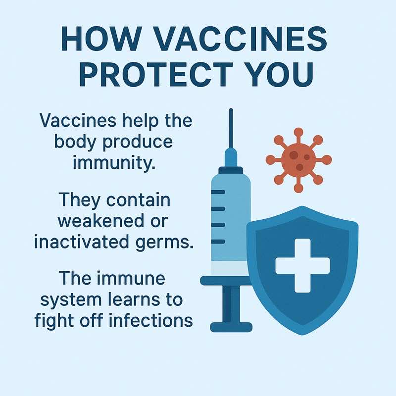 How Vaccines Protect You